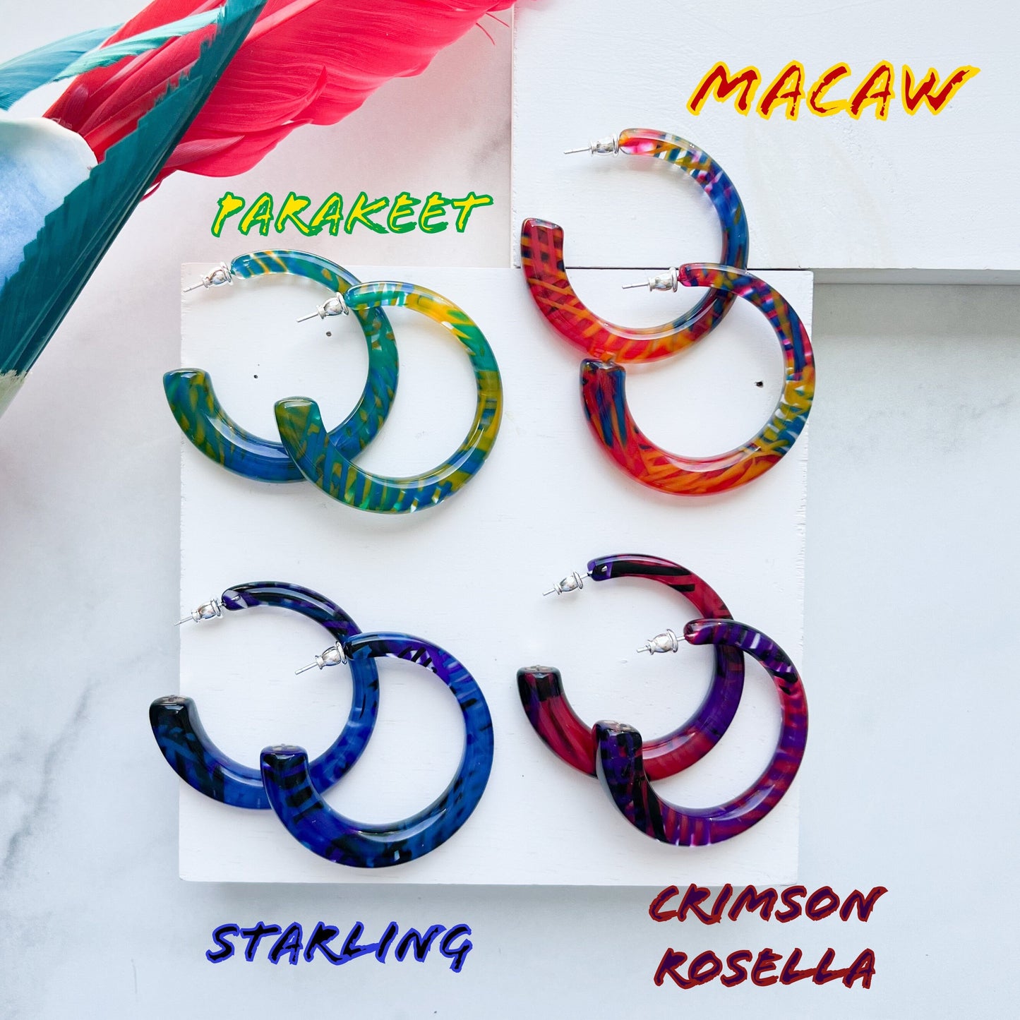 Sfera Hoops in the Aviary Collection | 55mm Large Statement Geometric Square Round Italian Tropical Bird Acetate Hoops 925 Silver Posts