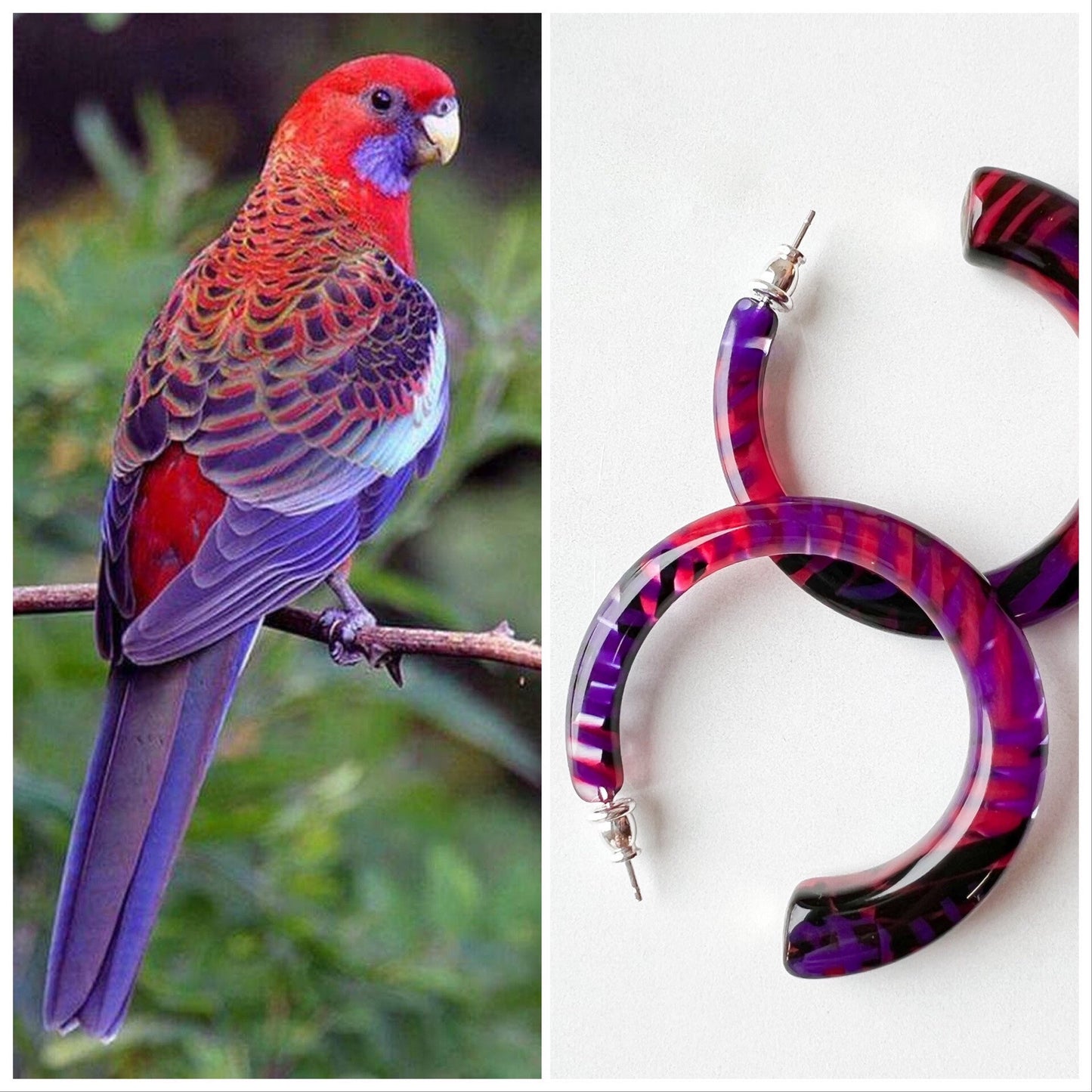 Sfera Hoops in the Aviary Collection | 55mm Large Statement Geometric Square Round Italian Tropical Bird Acetate Hoops 925 Silver Posts