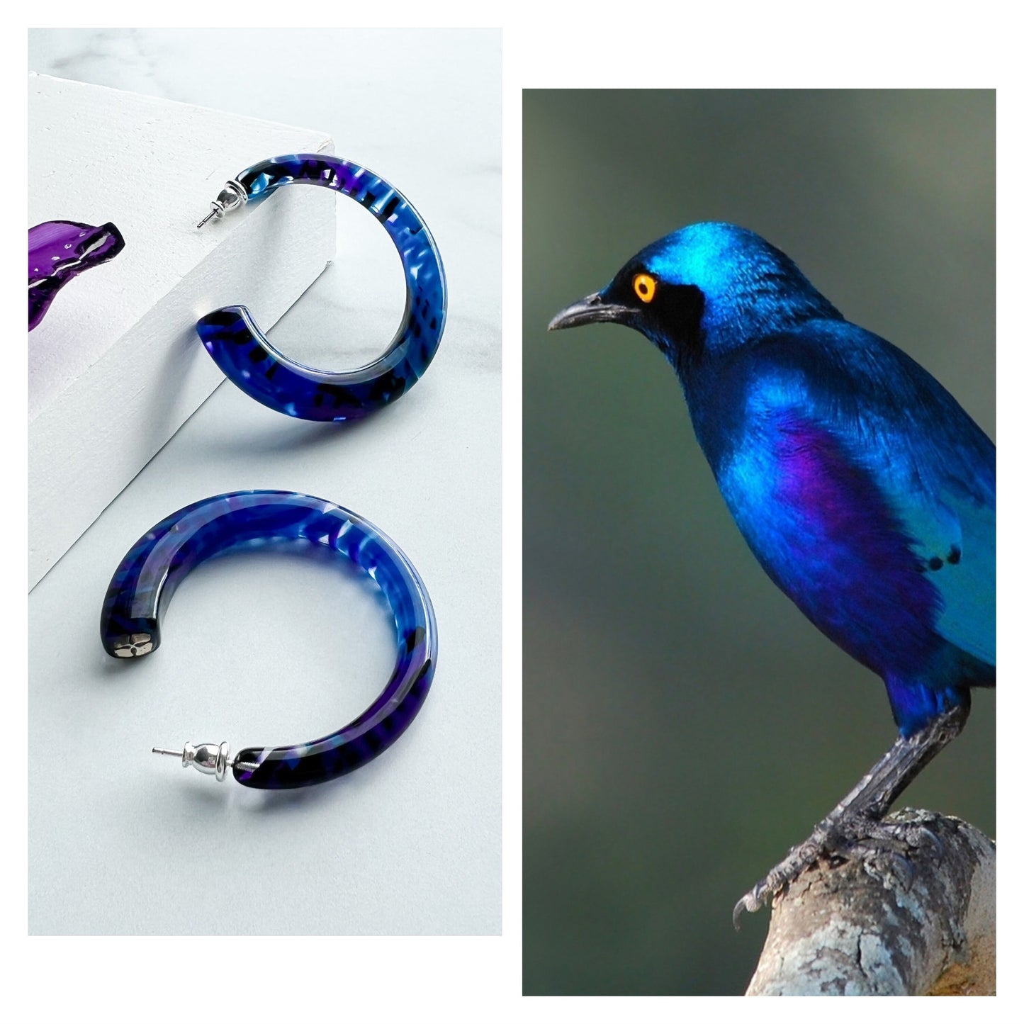 Sfera Hoops in the Aviary Collection | 55mm Large Statement Geometric Square Round Italian Tropical Bird Acetate Hoops 925 Silver Posts