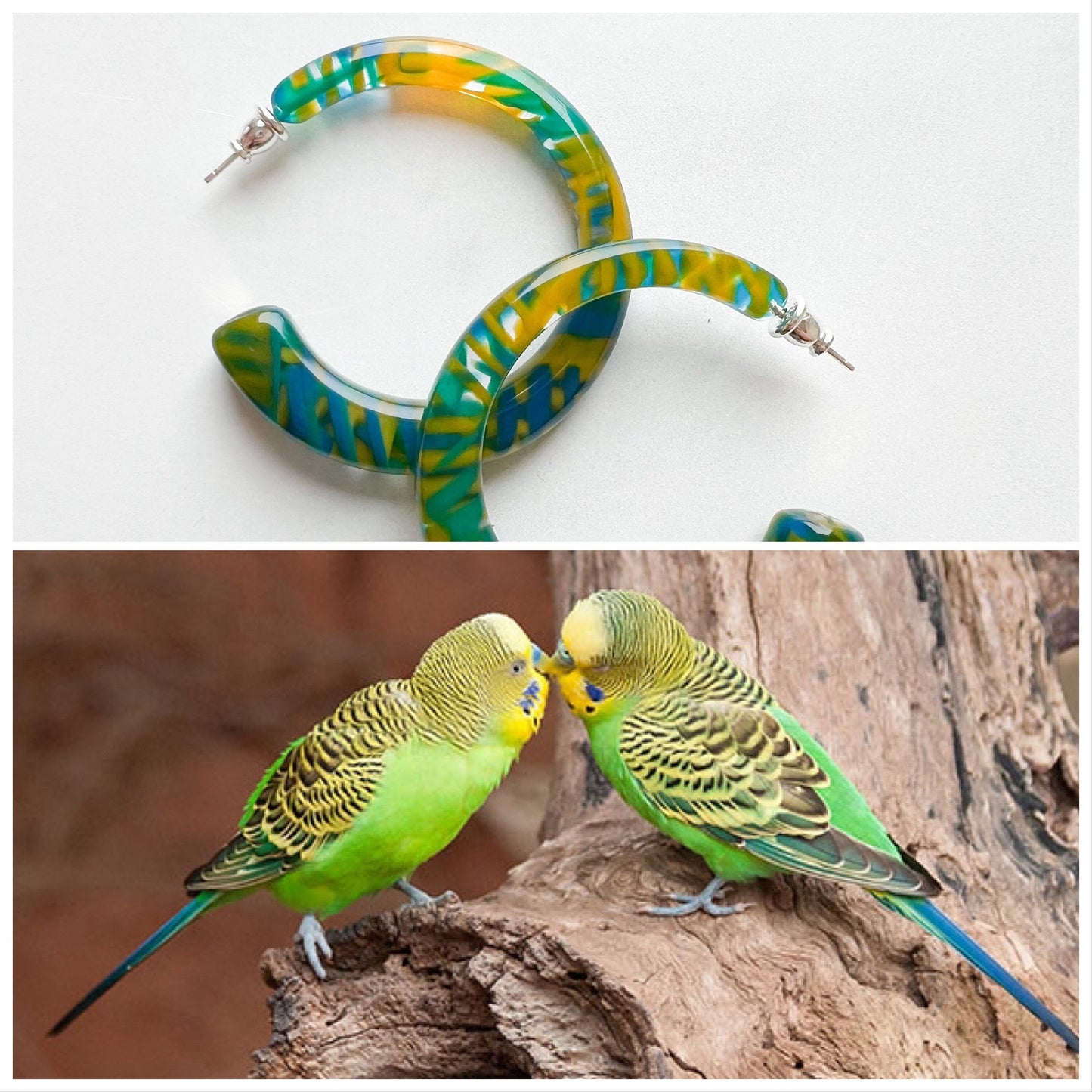 Sfera Hoops in the Aviary Collection | 55mm Large Statement Geometric Square Round Italian Tropical Bird Acetate Hoops 925 Silver Posts