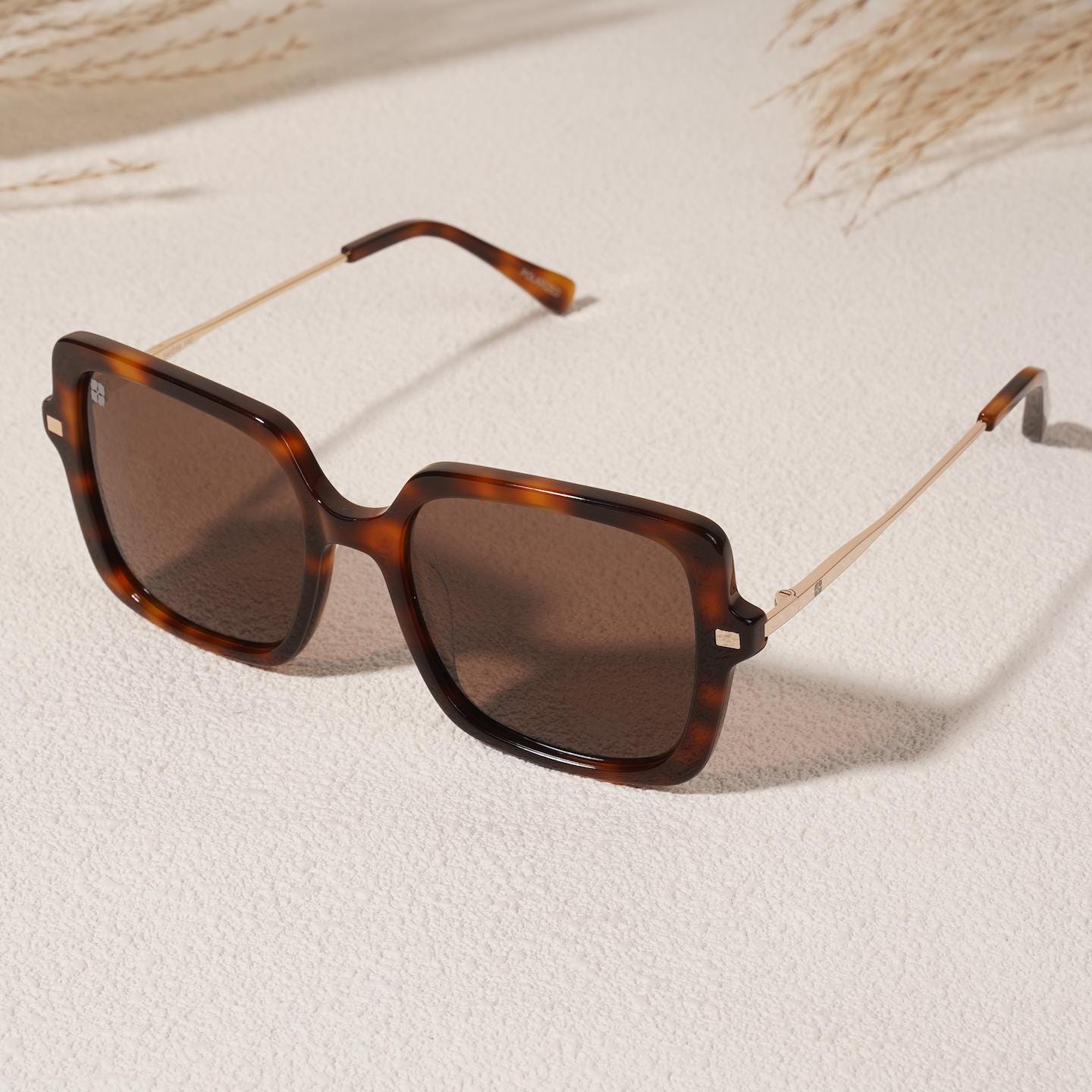Square Sunglasses | Acetate Tortoise Shell Polarized Sunglasses